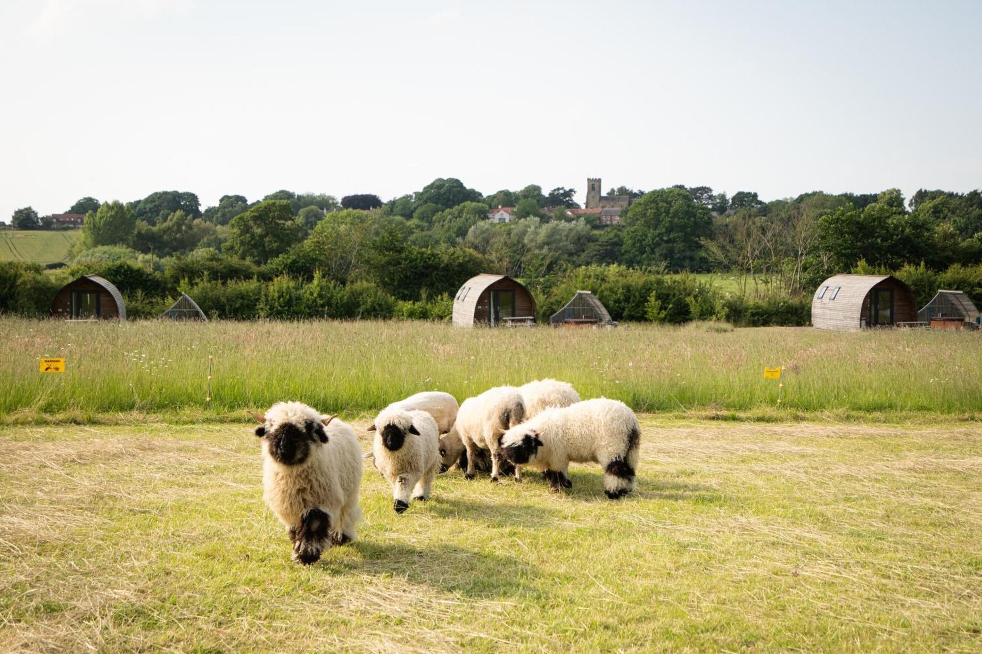 Sedgewell Barn By Wigwam Holidays ノーサラートン エクステリア 写真